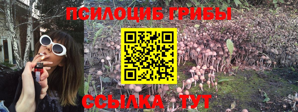 Галлюциногенные грибы MAGIC MUSHROOMS Качканар