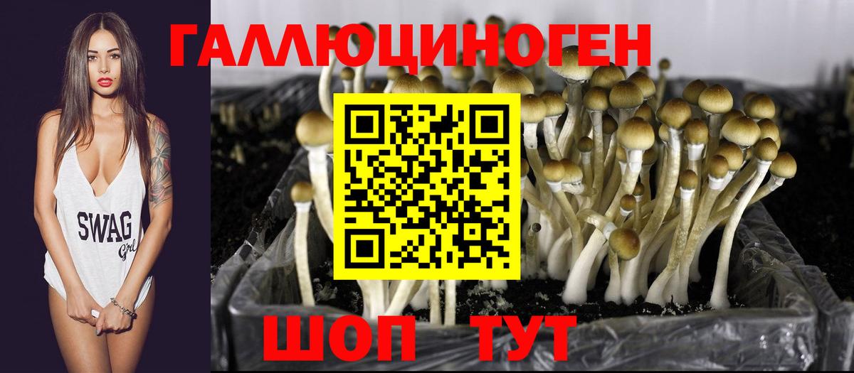 Качканар  Псилоцибиновые грибы прущие грибы  Вход с VPN 